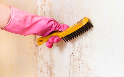 5 Benefits of Hiring a Professional Cleaner