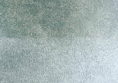 Upholstery and Carpet Cleaning