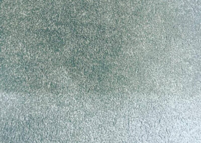 Upholstery and Carpet Cleaning
