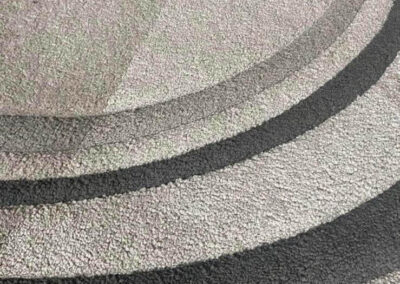 Upholstery and Carpet Cleaning