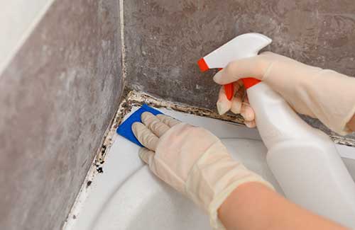 Mould Cleaning Mould Cleaning